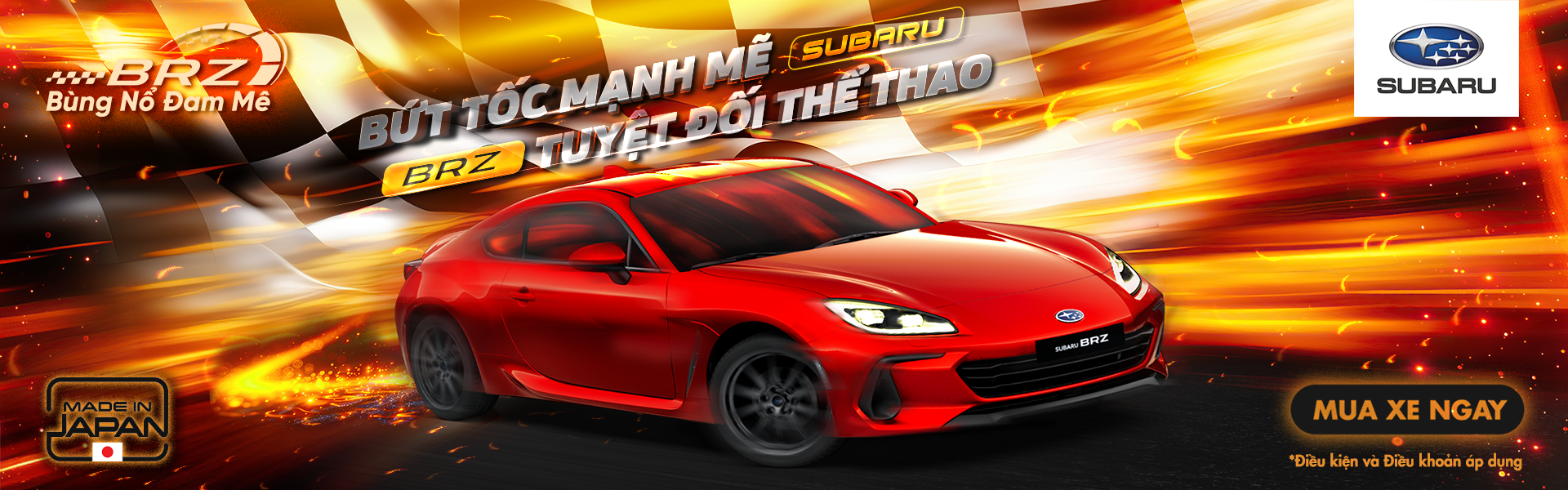 Promotion Banner
