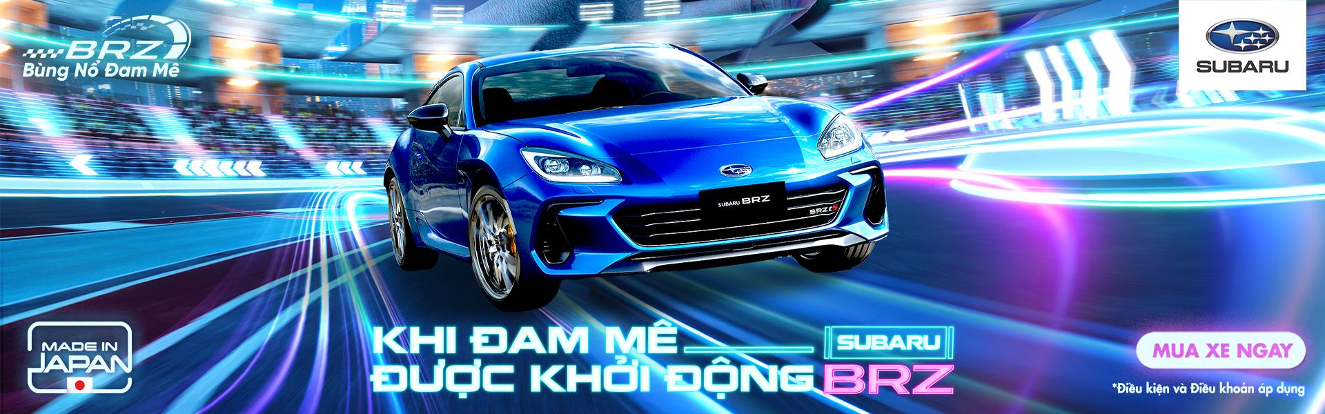Promotion Banner