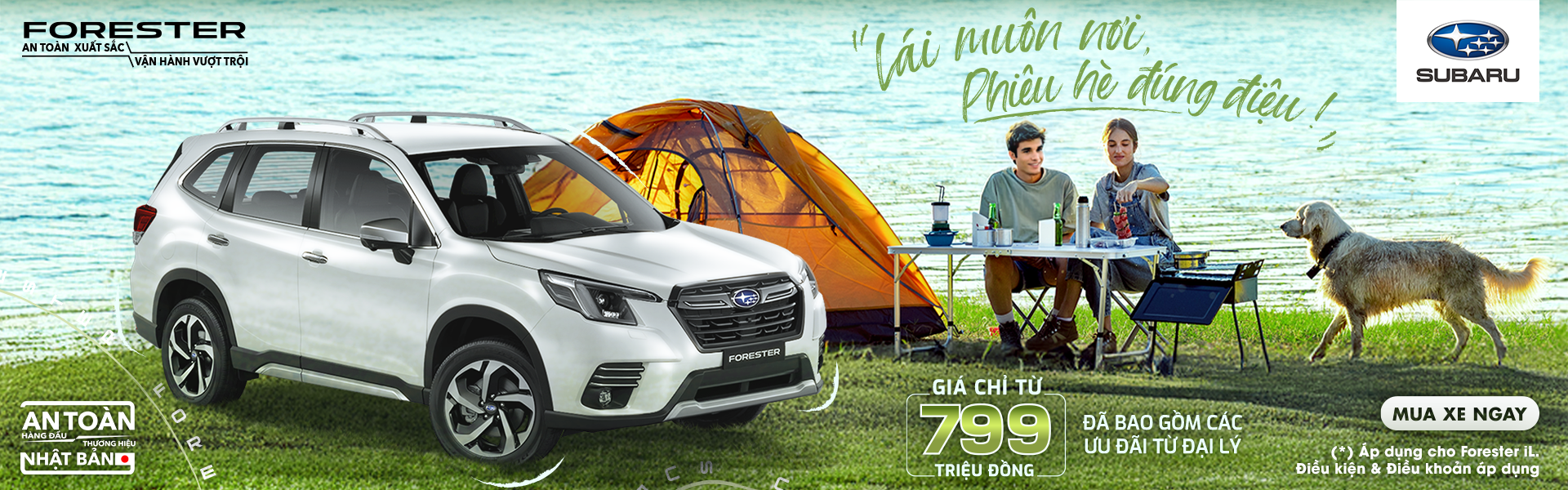 Promotion Banner